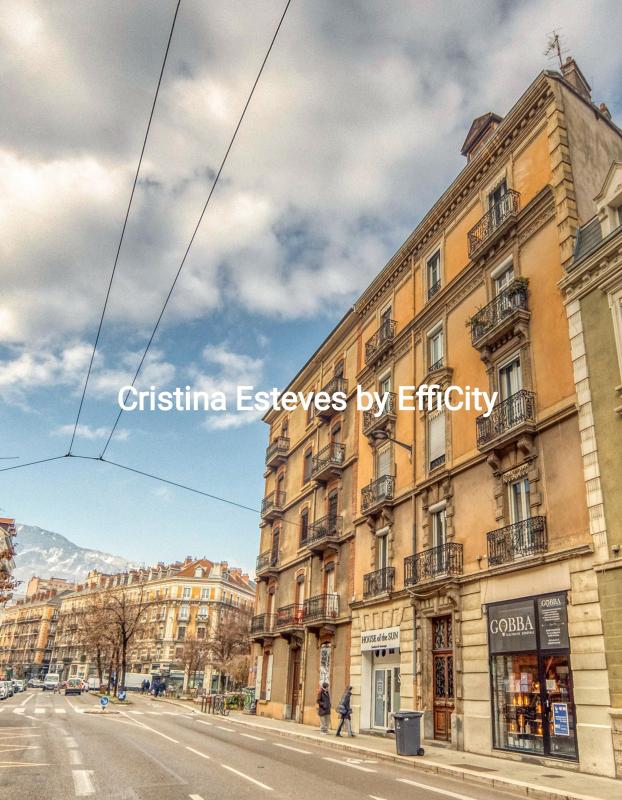 Appartement 3 Pièce(s) Grenoble