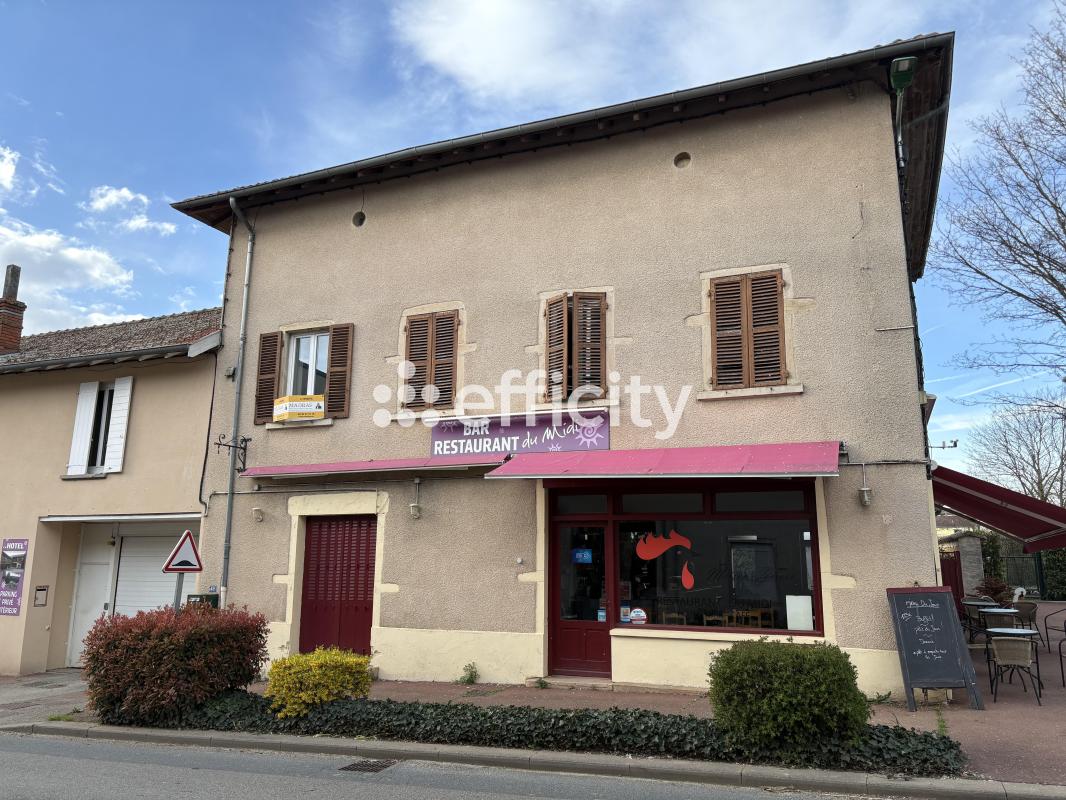 Commerces/negoce  Chaneins