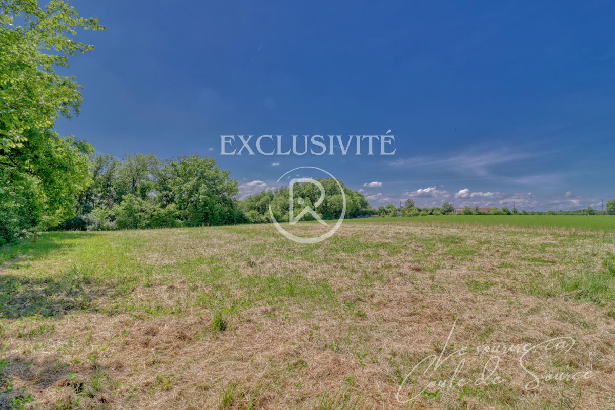 Terrain  Beaumont-de-Lomagne