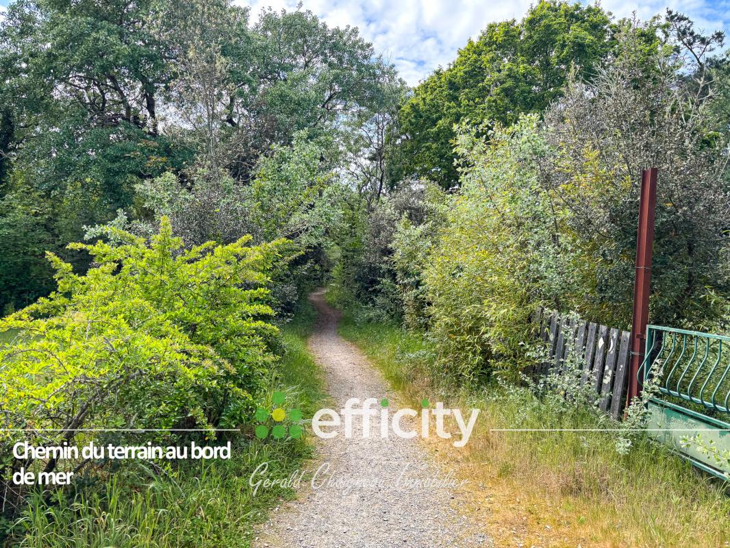Terrain  Bretignolles-sur-Mer