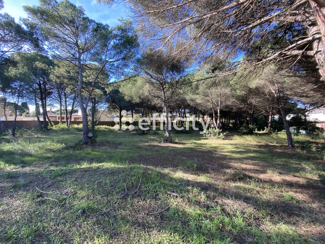 Terrain  Agde