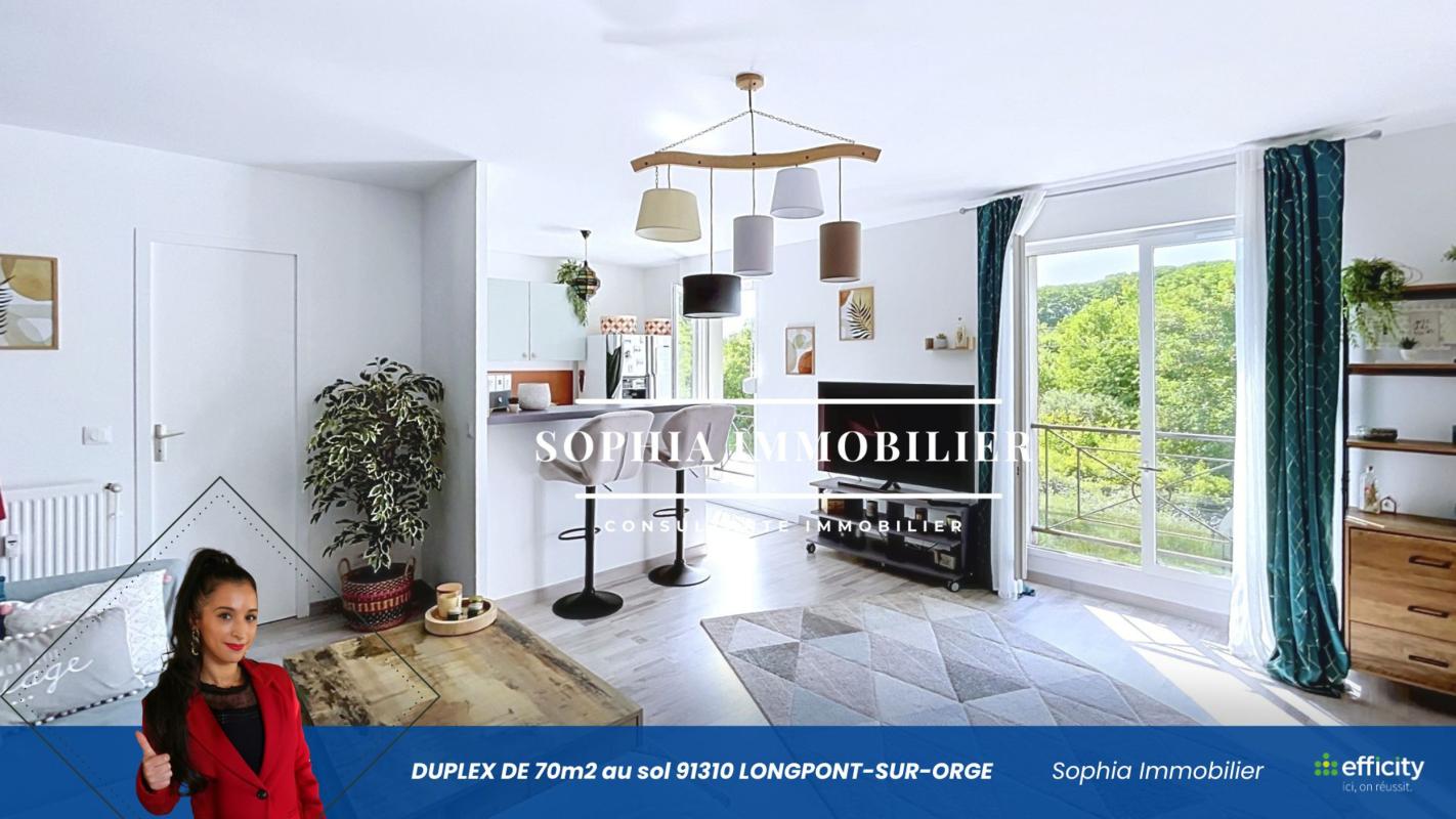 Duplex 3 Pièce(s) Longpont-sur-Orge