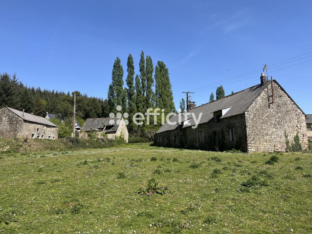Maison de ville 10 Pièce(s) Séglien