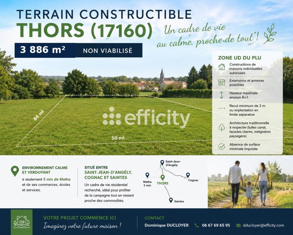 Terrain  Thors