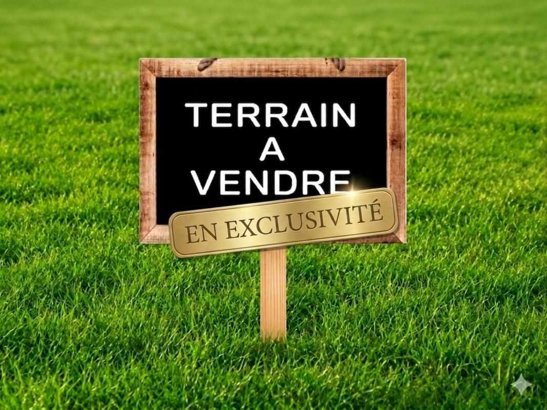 Terrain  Montroy
