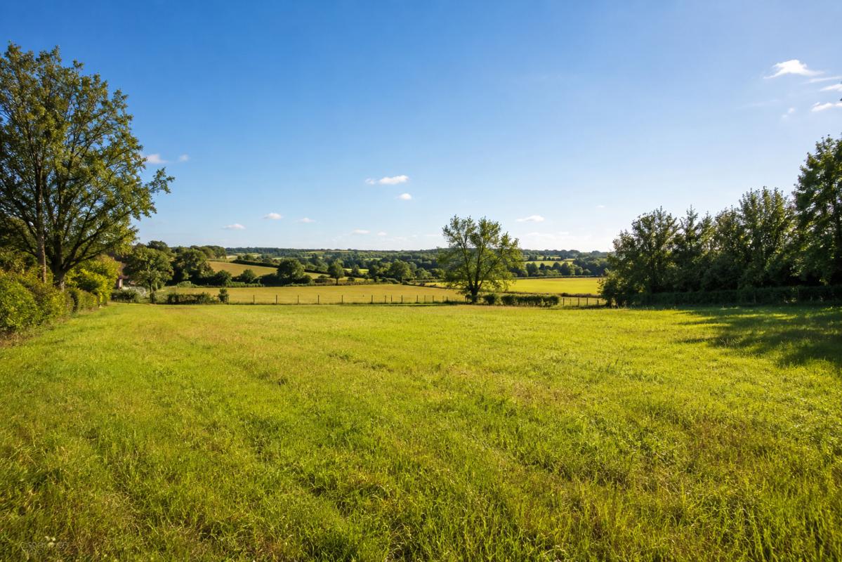 Terrain  Lavalette
