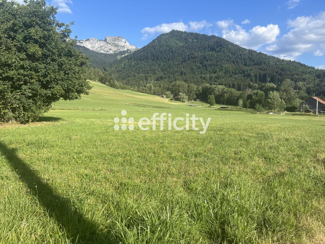 Terrain agricole  Mégevette