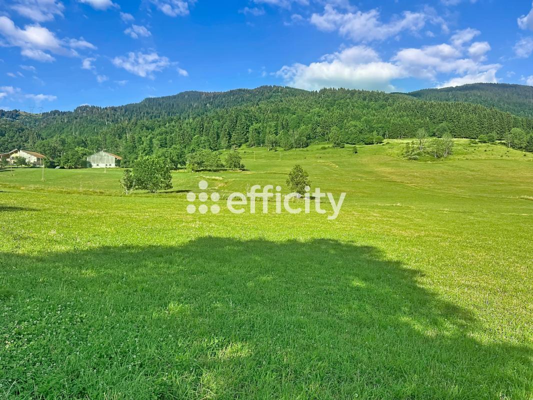 Terrain agricole  Mégevette