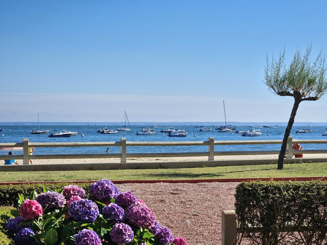 Appartement 2 Pièce(s) Arcachon