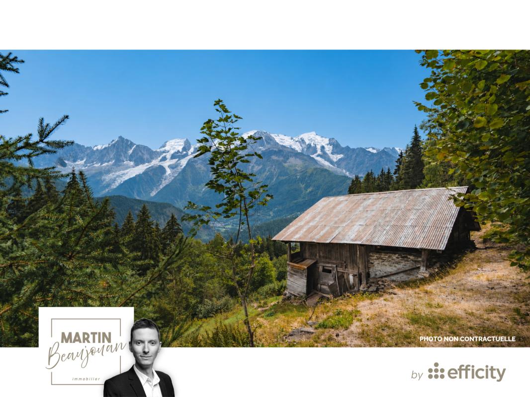 Maison 3 Pièce(s) Les Houches