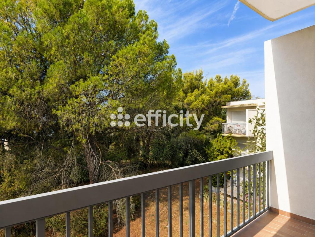 Appartement 1 Pièce(s) Montpellier