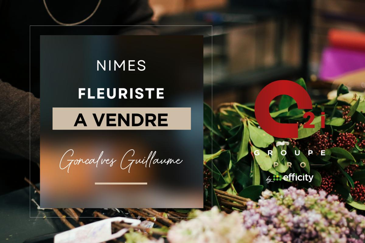 Commerces/negoce  Nîmes