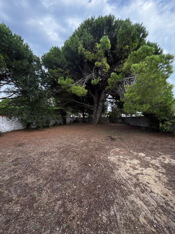 Maison 4 Pièce(s) La Couarde-sur-Mer - Photo 13
