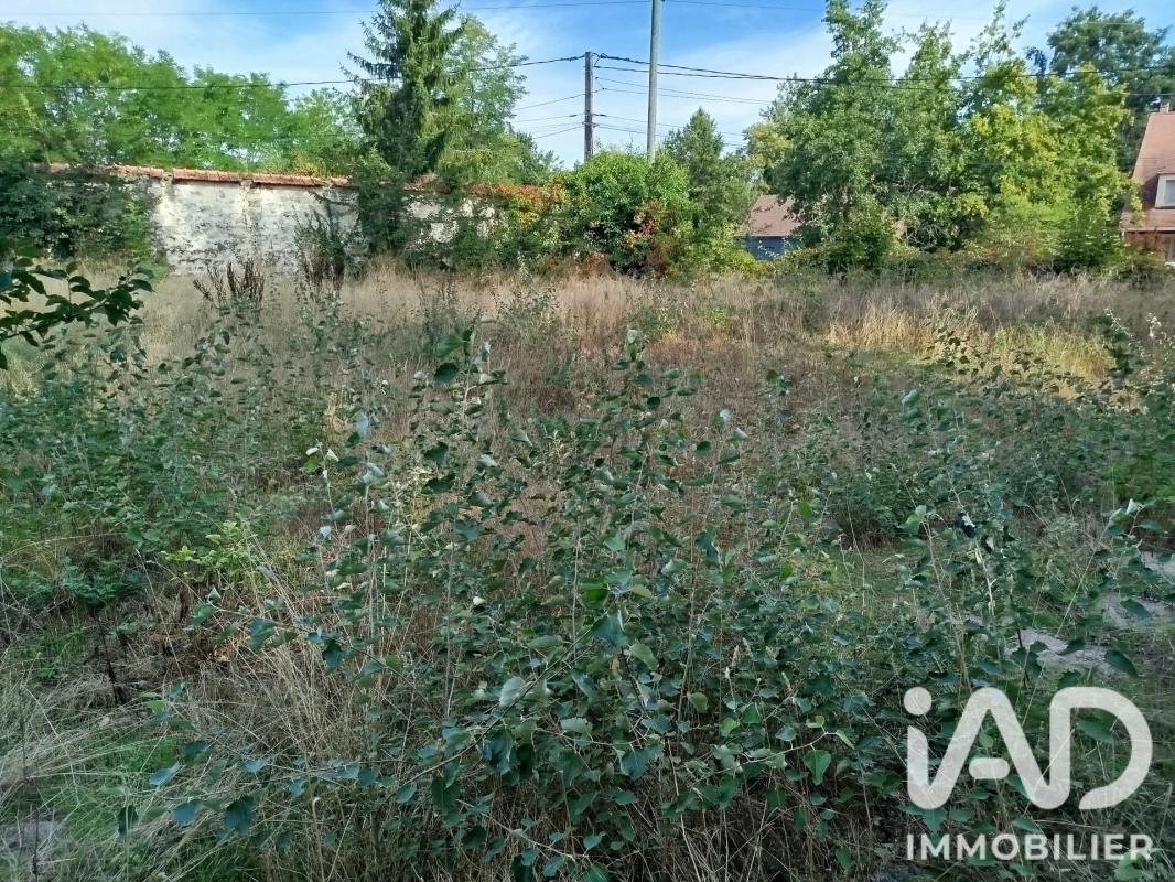 Terrain  Larchant