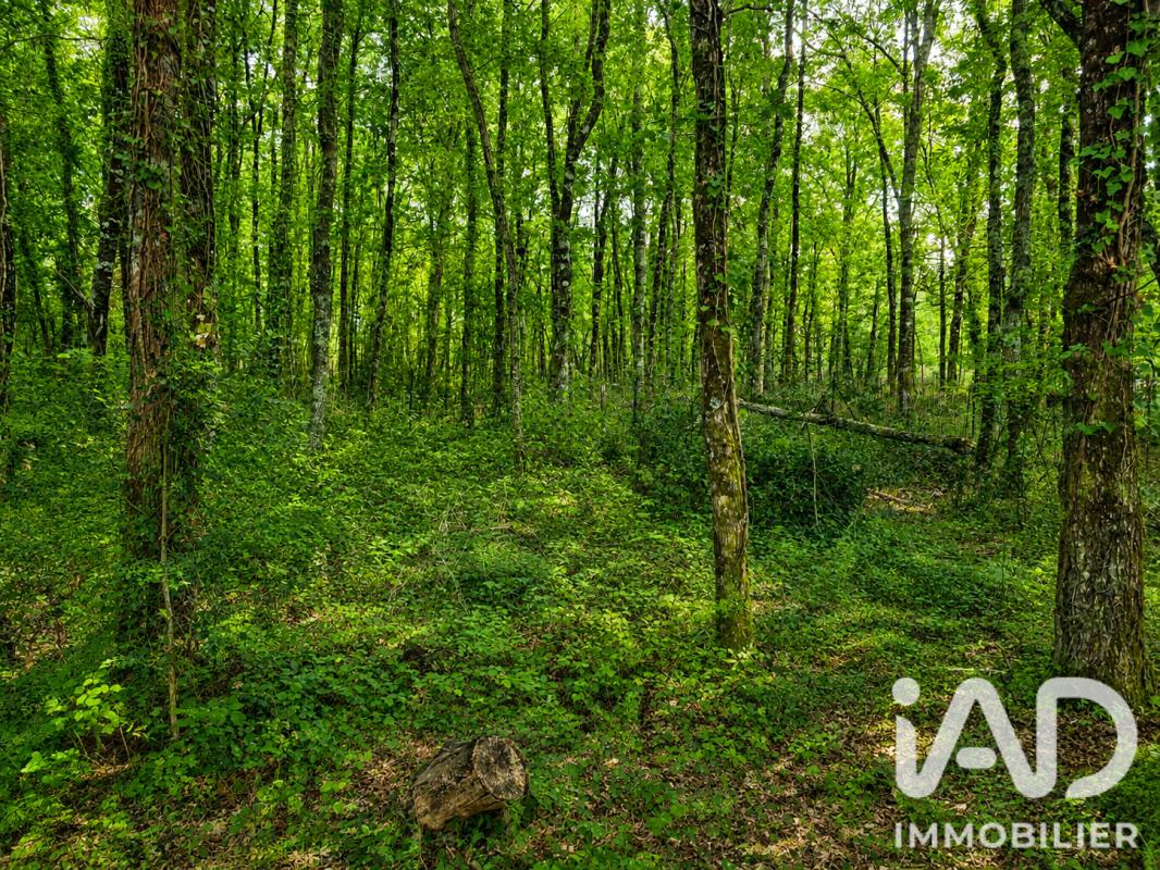 Maison 4 Pièce(s) Vendays-Montalivet - Photo 20