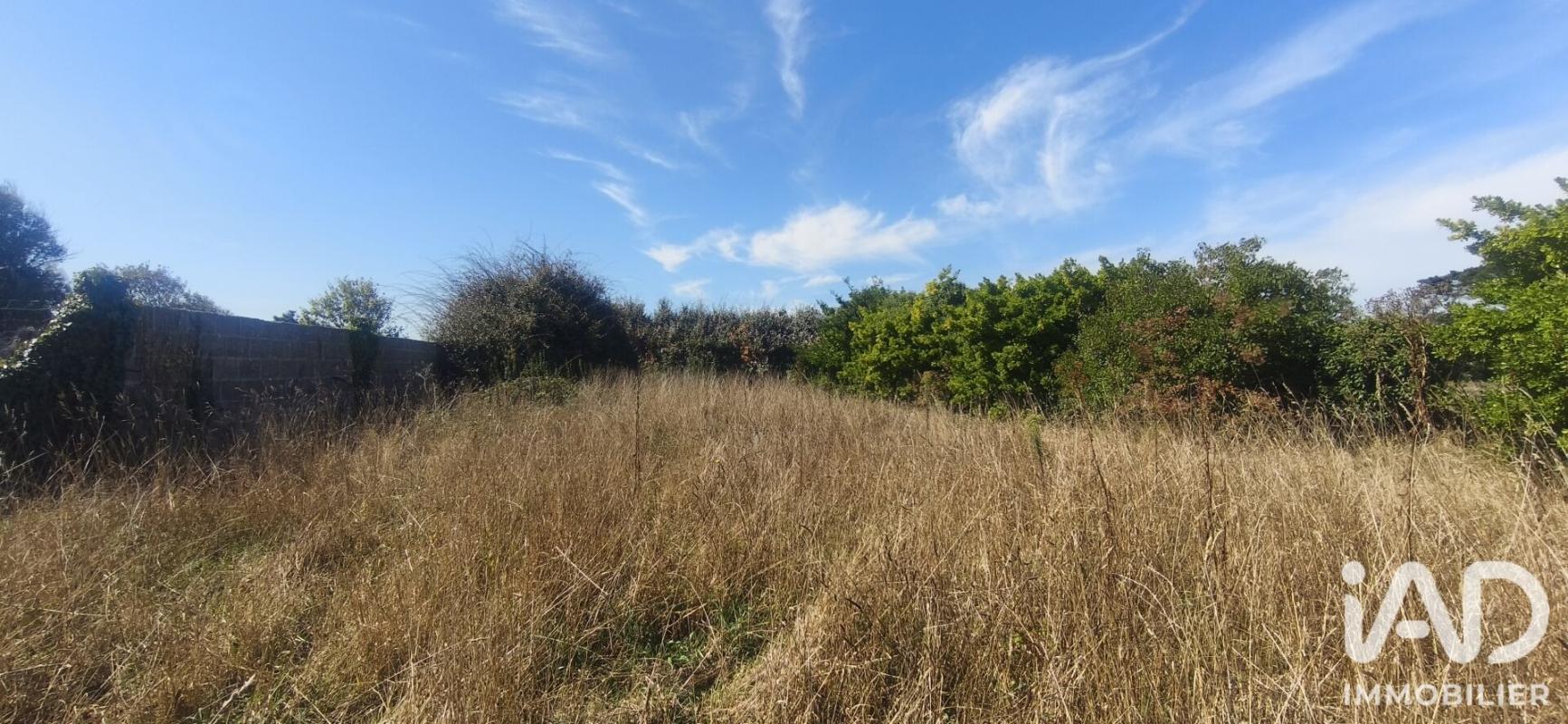 Terrain  Plozévet - Photo 2