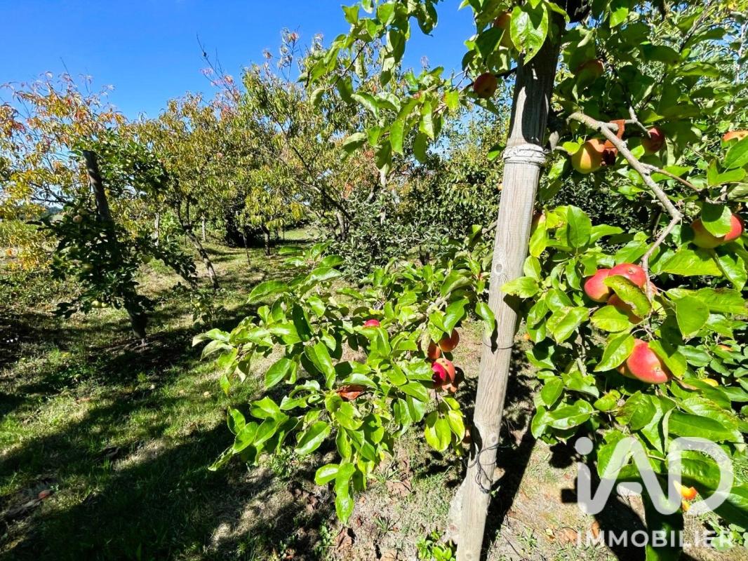 Maison 5 Pièce(s) Baugé-en-Anjou - Photo 20