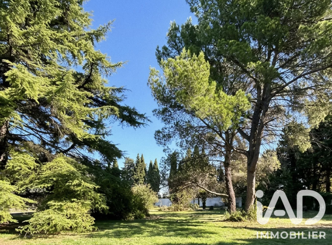 Terrain  Avignon