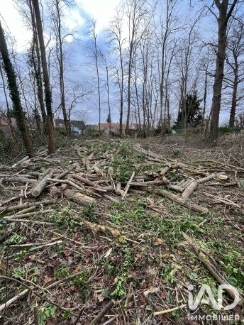 Terrain  Larchant
