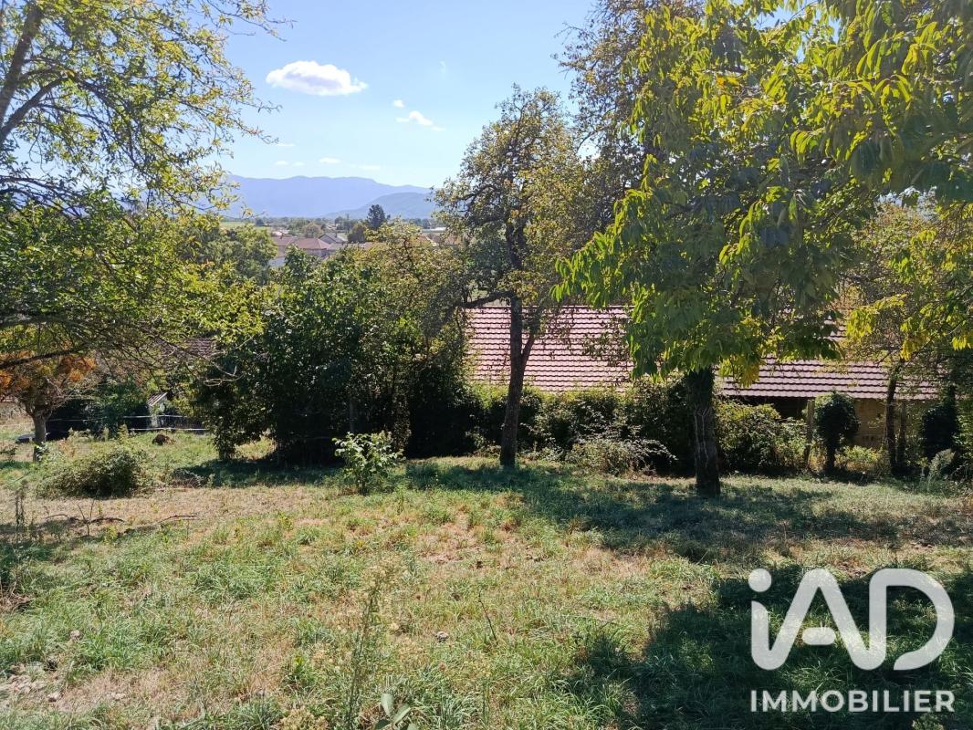 Terrain  Colombe - Photo 2