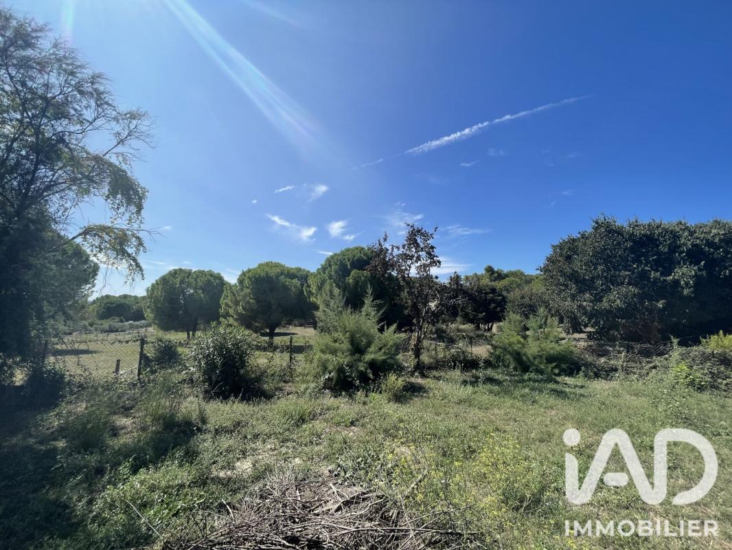 Terrain  Aigues-Vives - Photo 1