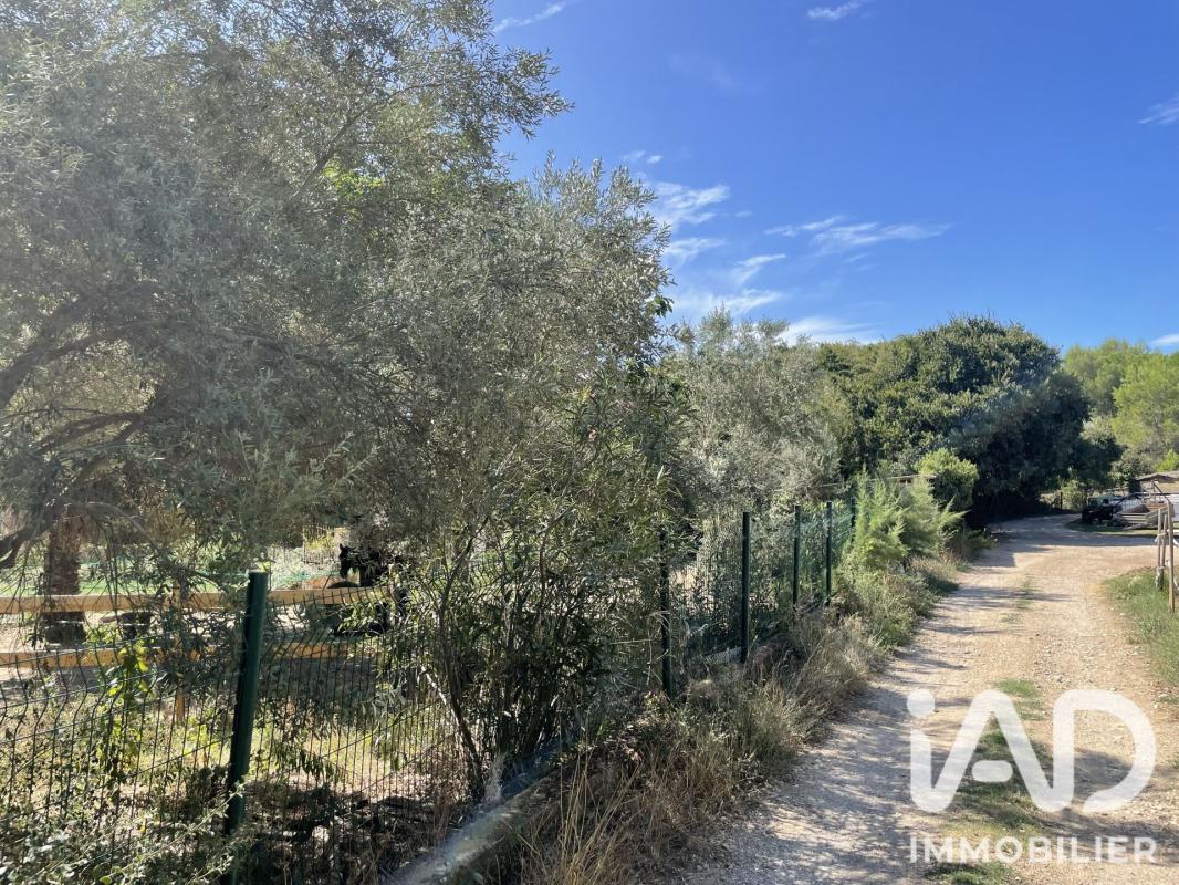 Terrain  Aigues-Vives - Photo 2