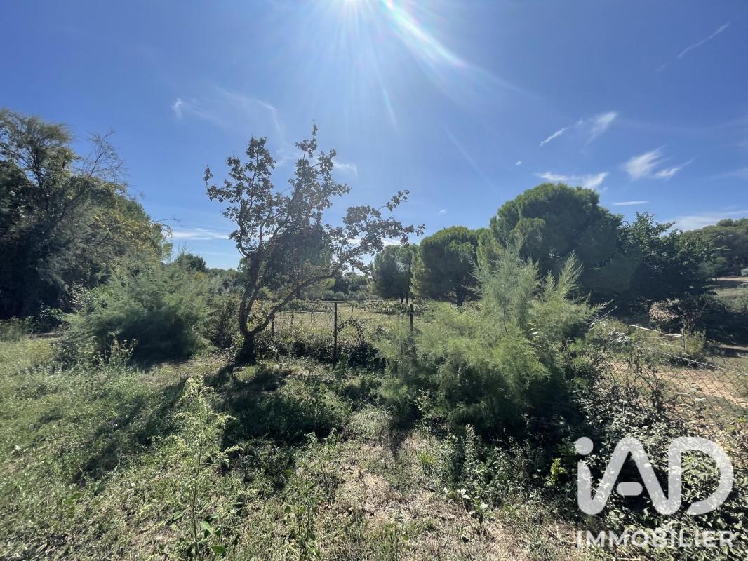 Terrain  Aigues-Vives - Photo 3