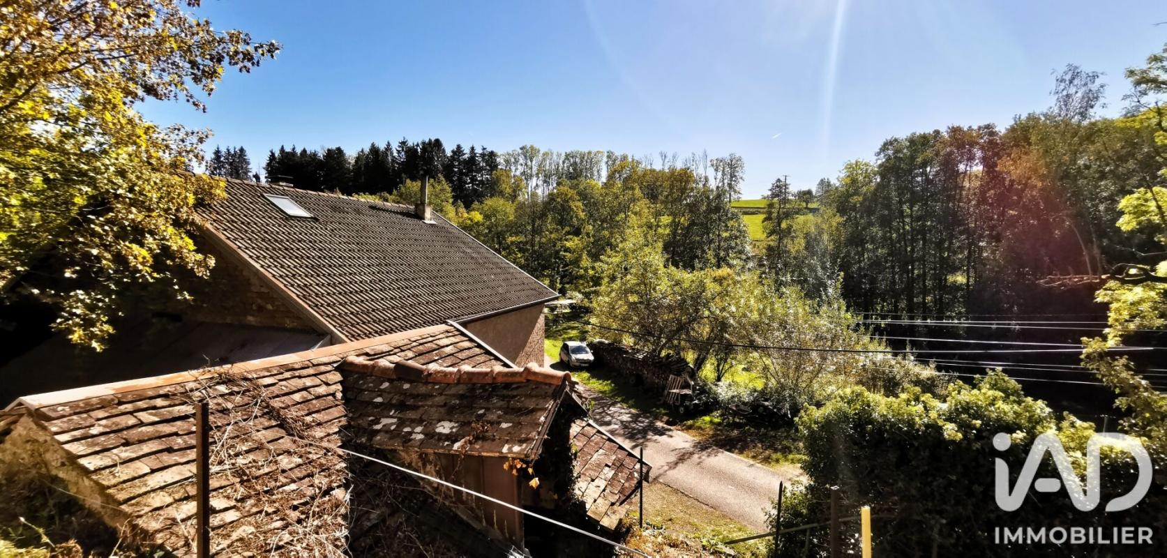 Maison 6 Pièce(s) Plombières-les-Bains - Photo 26
