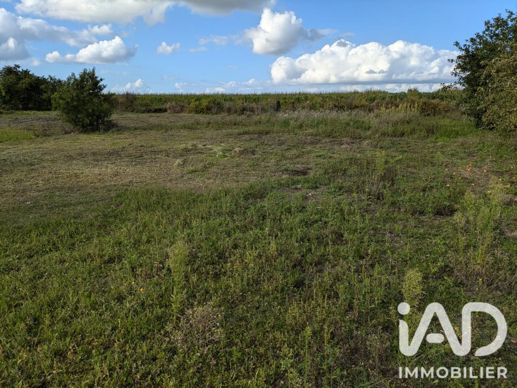 Terrain  Beaufort-en-Anjou - Photo 2