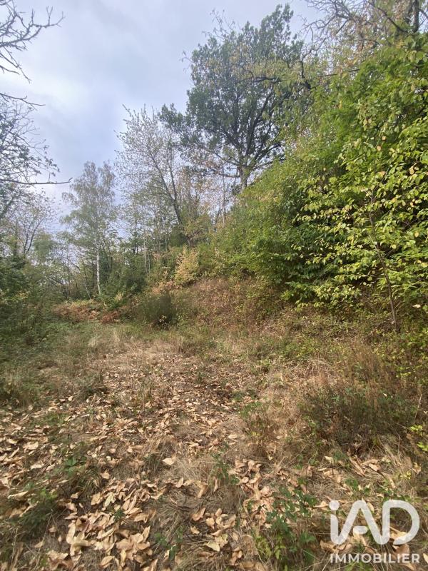Terrain  Pousthomy - Photo 2