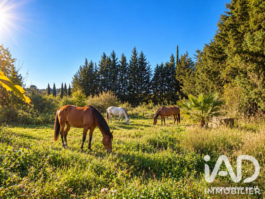 Terrain  Quarante - Photo 3