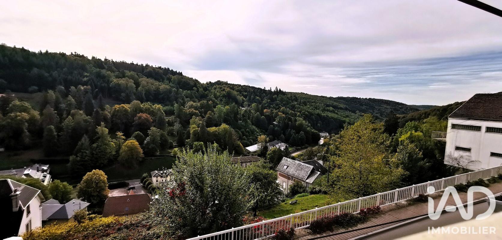 Maison 6 Pièce(s) Plombières-les-Bains - Photo 20