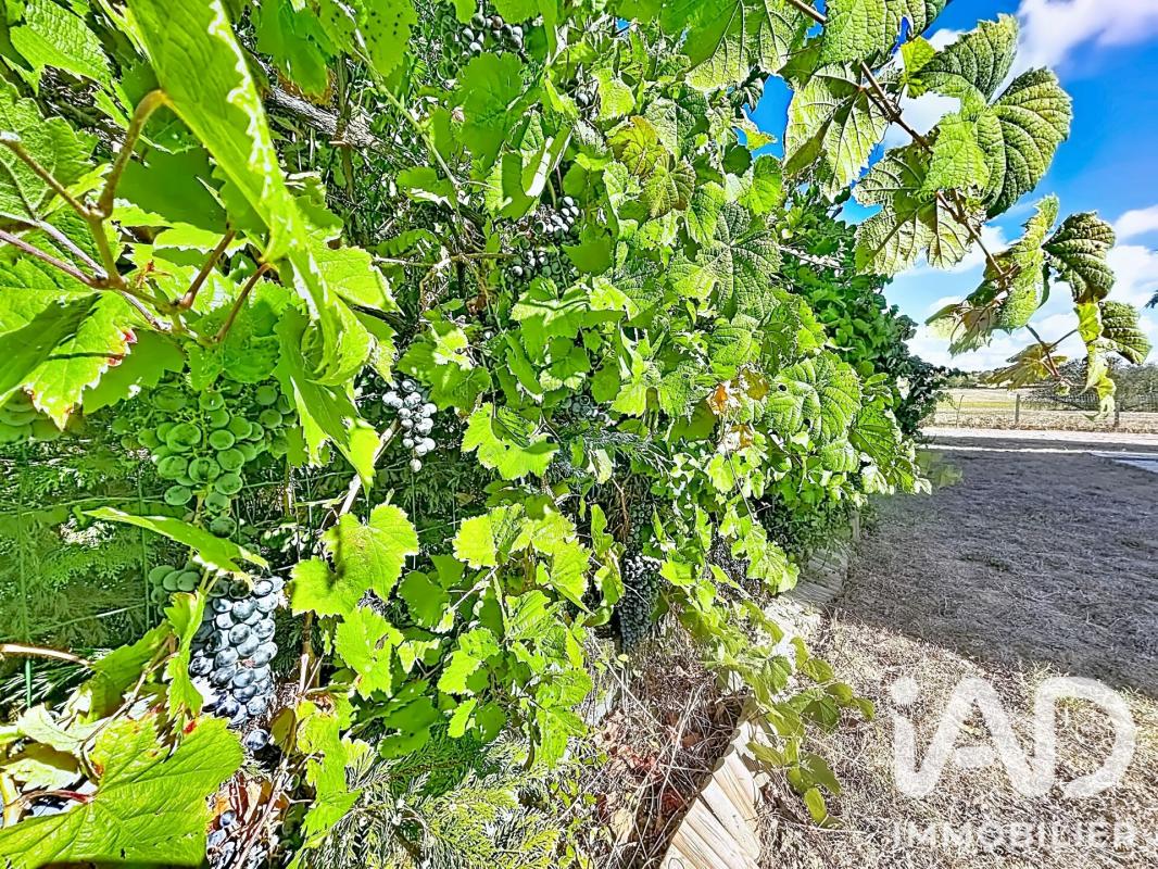Maison 6 Pièce(s) Quint-Fonsegrives - Photo 20