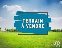 Terrain  Orange