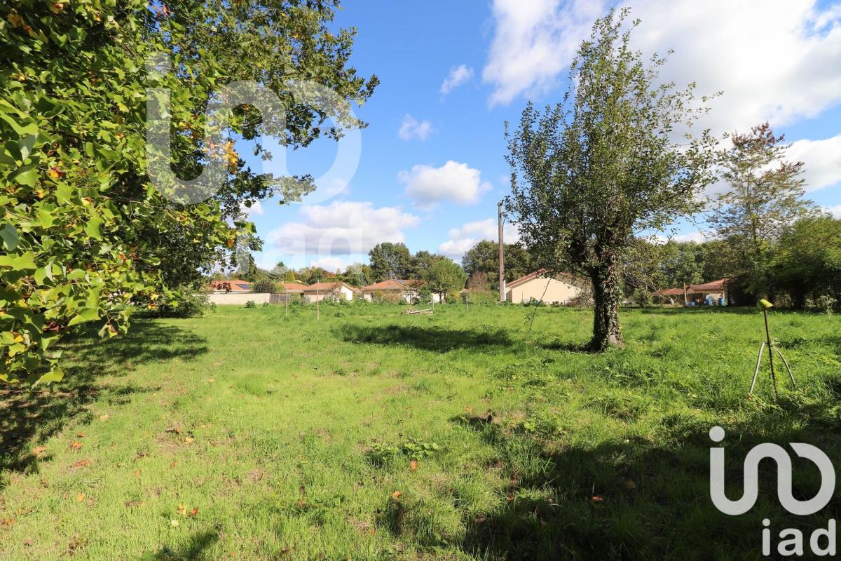 Terrain  Panazol