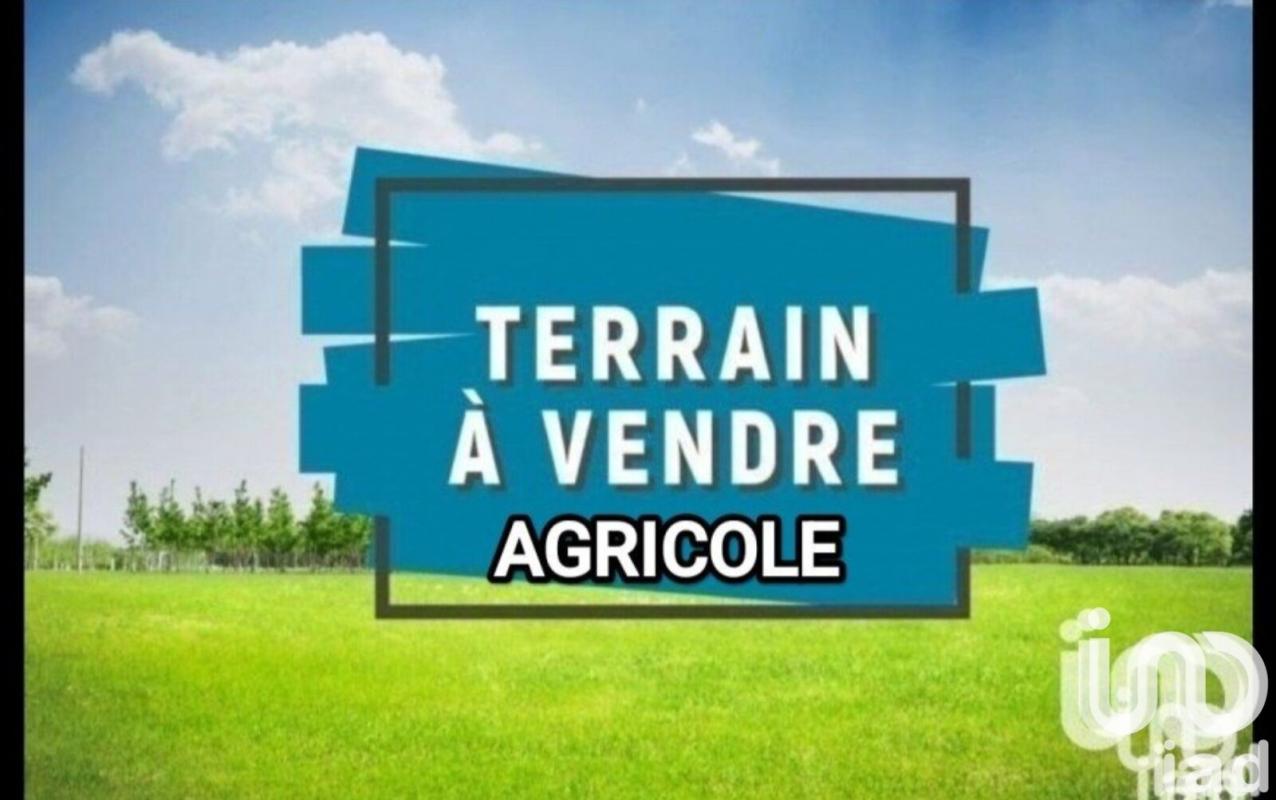 Terrain agricole  Salses-le-Château