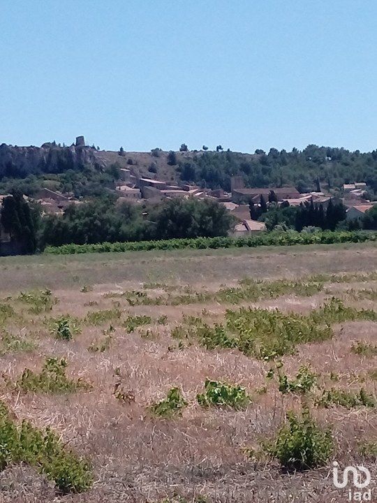 Terrain  Roquefort-des-Corbières