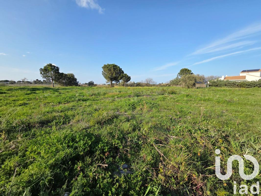 Terrain  Perpignan