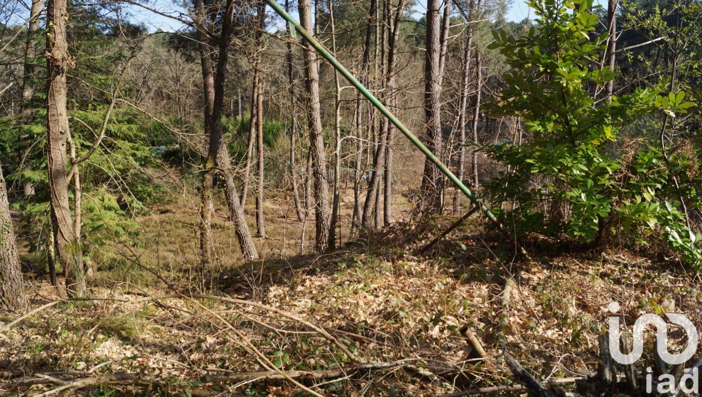 Terrain  Yvré-le-Pôlin