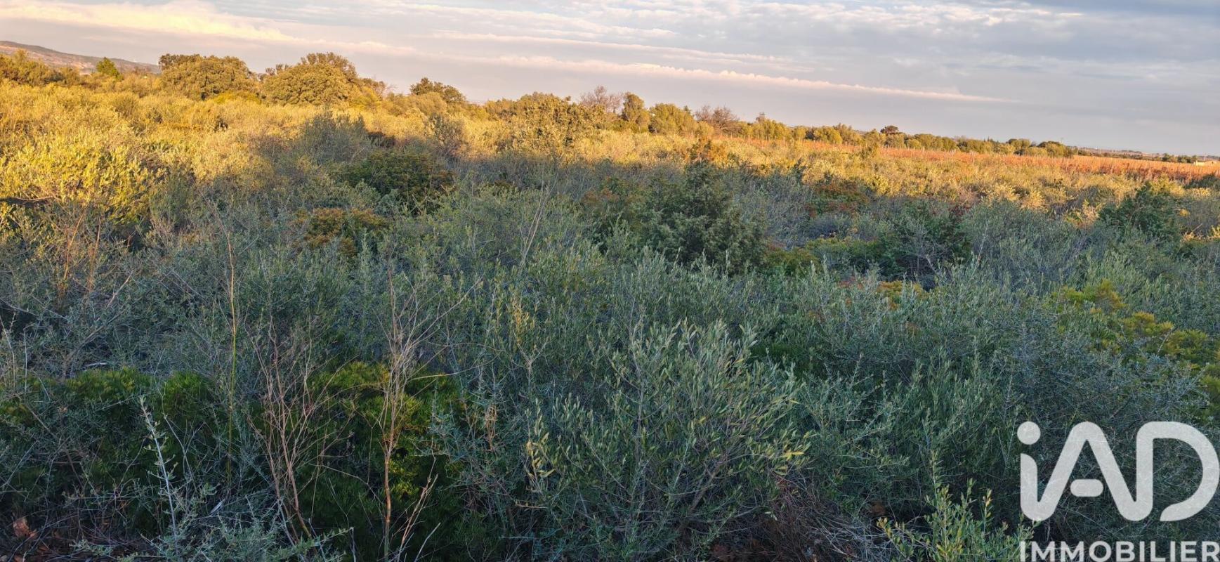 Terrain agricole  La Palme