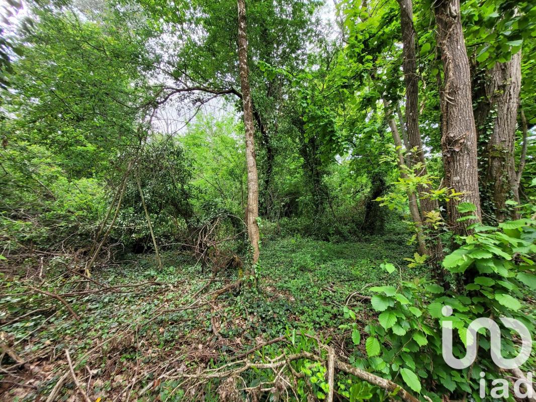Terrain  Villeneuve-sur-Bellot