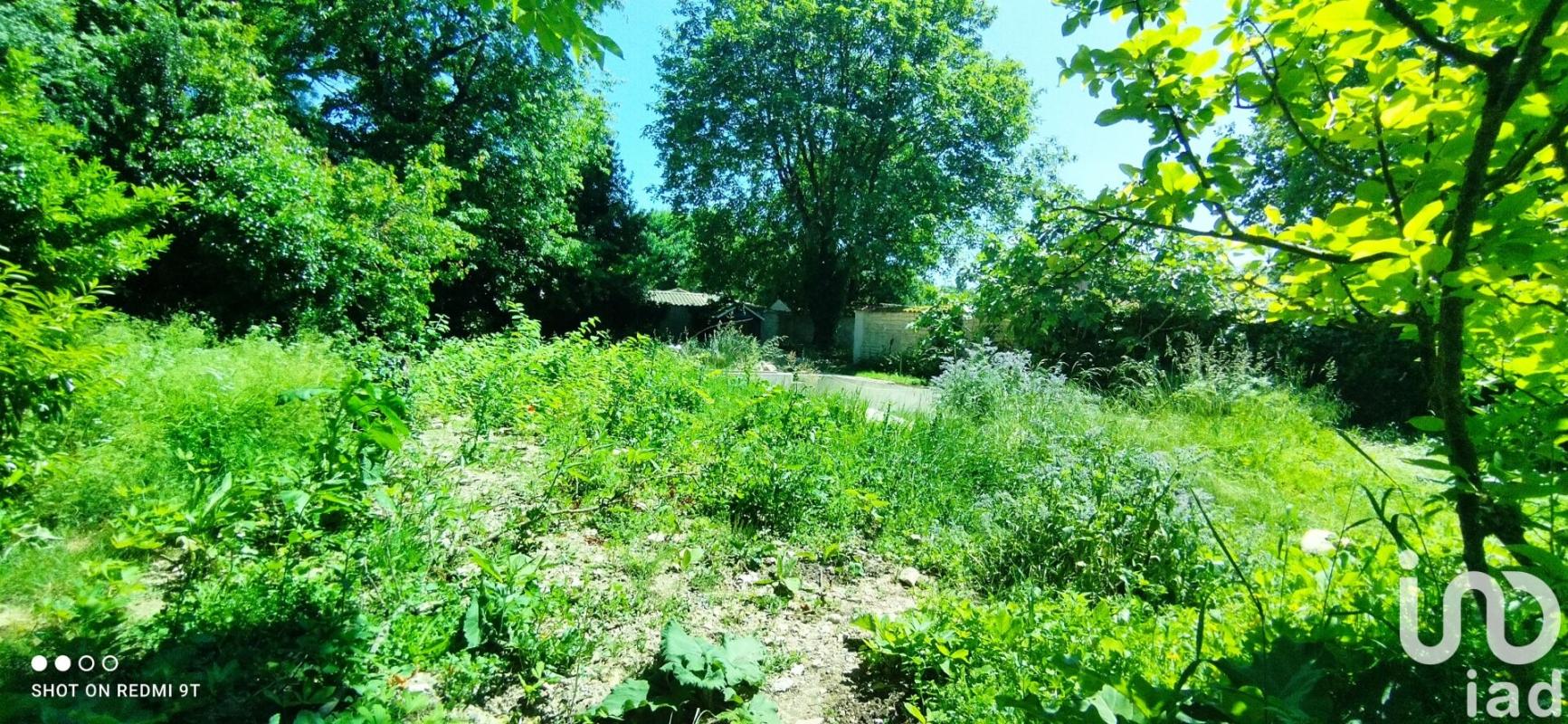 Terrain  Bourgneuf