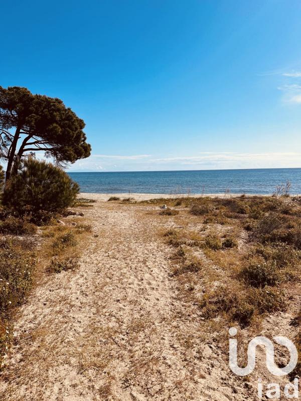 Appartement 2 Pièce(s) Cervione