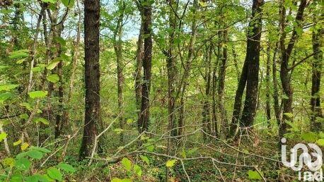 Terrain de loisirs  Moret-Loing-et-Orvanne