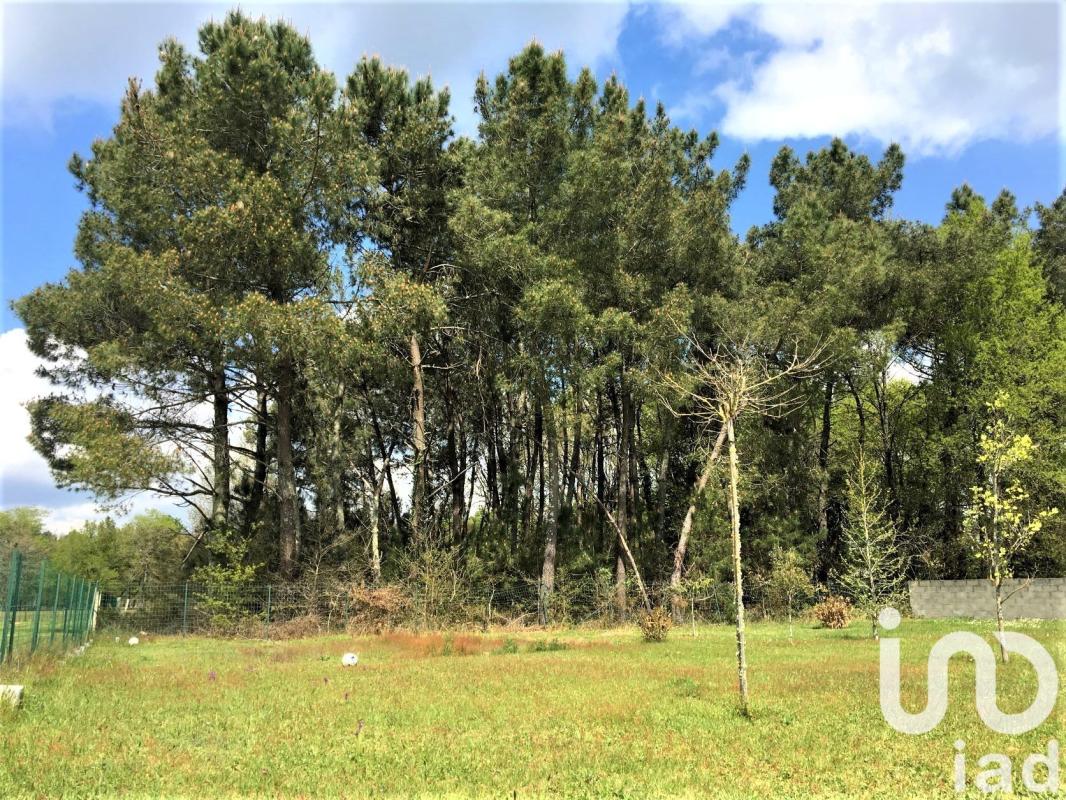 Terrain  Bussac-Forêt