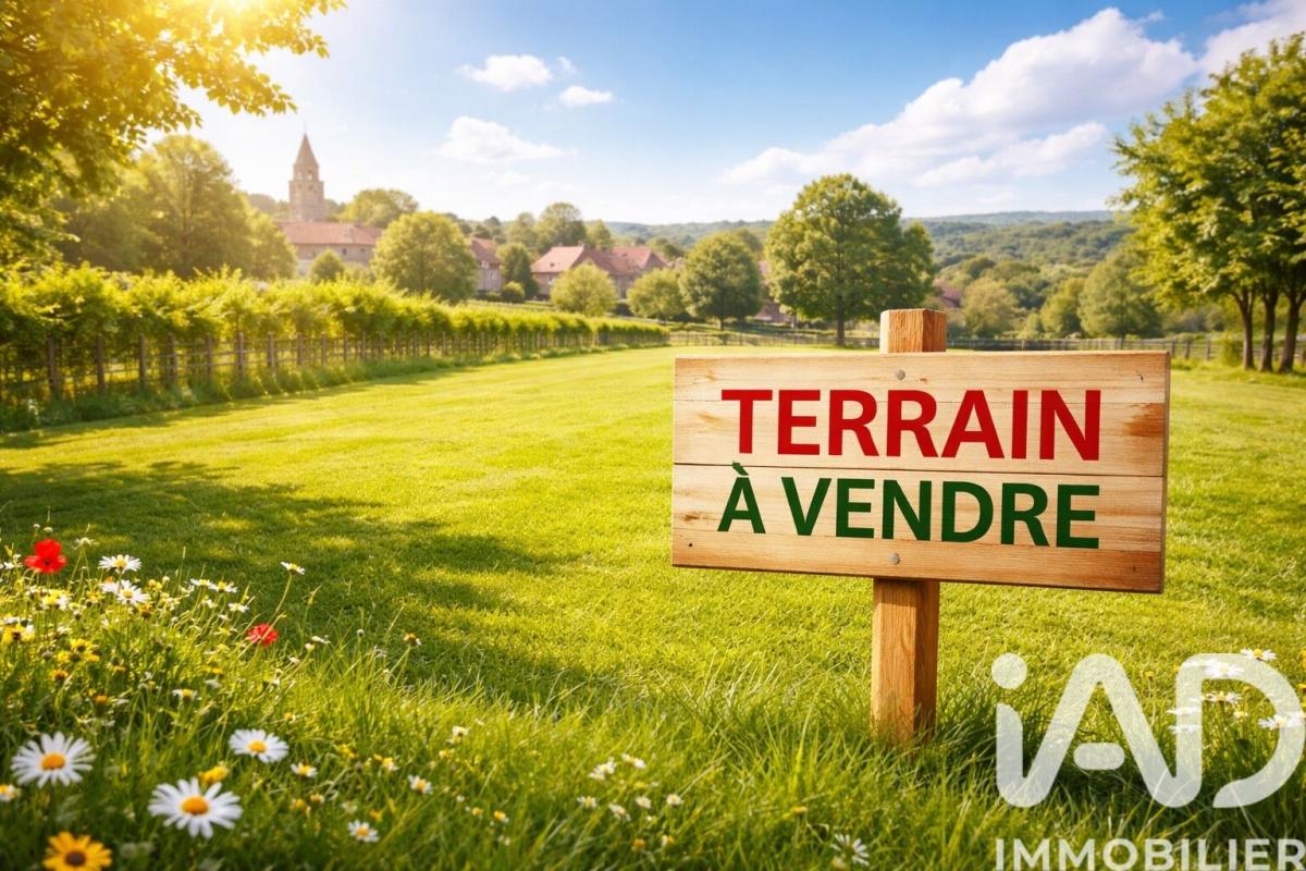 Terrain  Venizel