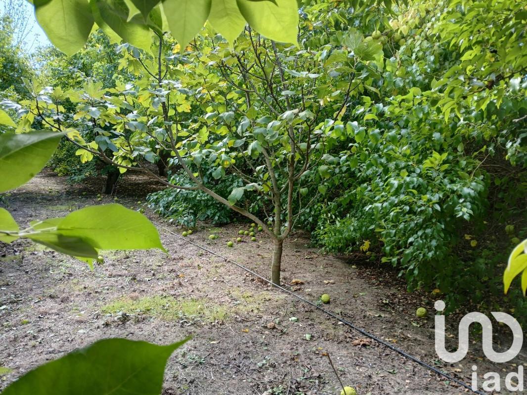 Terrain agricole  Bezouce