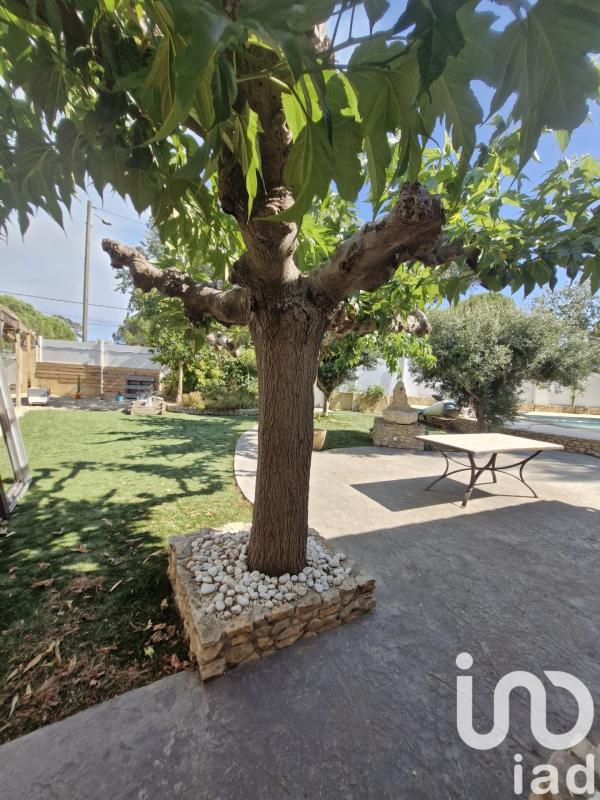 Maison traditionnelle 5 Pièce(s) Marseillan