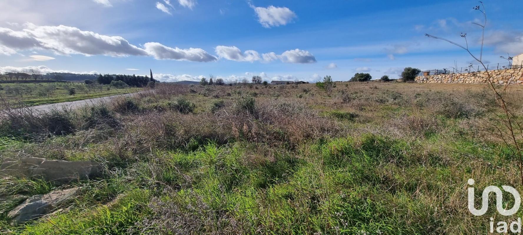 Terrain  Bize-Minervois