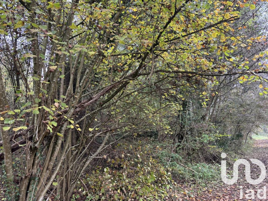 Terrain  Lorry-lès-Metz